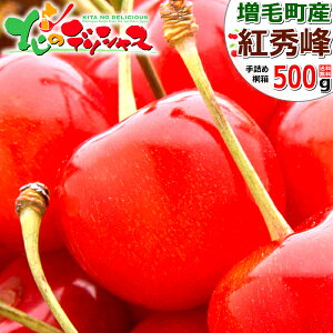 y\zkCY ђ  gG (Gi/2Lȏ/l/ϔ/N[) t[c TN{ 600g 1kg  䒆  Mtg 蕨  j  Ԃ v[