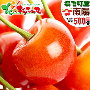 y\zkCY ђ  z (Gi/2Lȏ/l/ϔ/N[) t[c TN{ 600g 1kg  䒆   Mtg 蕨  j  Ԃ v