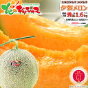 出荷中/ お届け日時指定OK 北海道産 夕張メロン (共撰 秀品/1玉 1.6kg/冷蔵便) お中元 熨斗OK JA夕張市 GI 1玉 2玉 3玉 5玉 赤肉メロン 夏ギフト 御中元 暑中見舞い ギフト 贈り物 お祝い 内祝い ご家庭用 北海道 果物 フルーツ 北海道直送 送料無料 お取り寄せ