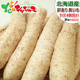 【出荷間近】北海道産 ご家庭用 長芋 (訳あり/常温便) 冬野菜 野菜 ながいも 長いも 長イモ 長薯 長芋 とろろ ご飯のお供 わけあり 自宅用 家庭用 おうち用 人気 売れ筋 北海道 食品 グルメ 北海道直送 送料無料 お取り寄せ