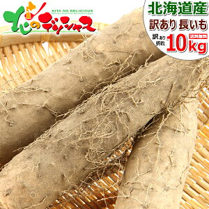 yoגzkCY ƒp  (󂠂/퉷) ~  Ȃ  C   Ƃ т̂ 킯 p ƒp p lC  kC Hi O kC