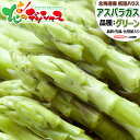 【出荷中】北海道産 夏アスパラ グリーンアスパラ (ハウス栽培/L-2Lサイズ) アスパラ 緑アスパラ グリーンアスパラガス 600g 1.2kg お中元 暑中見舞い 残暑見舞い ギフト 贈り物 プレゼント 自宅用 家庭用 おうち用 野菜 グルメ 北海道 送料無料 お取り寄せ