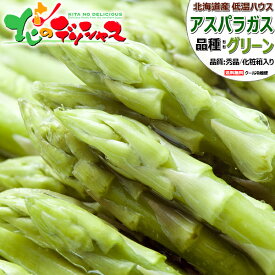 【出荷中】北海道産 夏アスパラ グリーンアスパラ (ハウス栽培/L-2Lサイズ) アスパラ 緑アスパラ グリーンアスパラガス 600g 1.2kg お中元 暑中見舞い 残暑見舞い ギフト 贈り物 プレゼント 自宅用 家庭用 おうち用 野菜 グルメ 北海道 送料無料 お取り寄せ