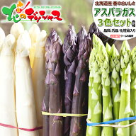 【出荷間近】北海道産 アスパラ 3色セット 900g (各300g入り/冷蔵便)春の味覚 北海道アスパラ あすぱら …