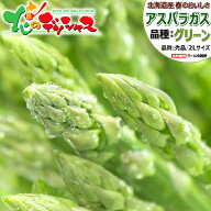 【連日出荷中】北海道産 グリーンアスパラ (L-2Lサイズ/冷蔵便)春の味覚 北海道アスパラ あすぱら アスパ…