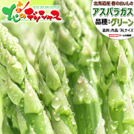 【連日出荷中】北海道産 グリーンアスパラ (3Lサイズ/冷蔵便)母の日 春の味覚 北海道アスパラ あすぱら …
