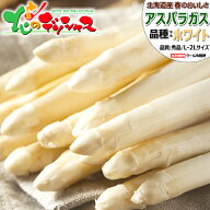 【出荷中】北海道産 ホワイトアスパラ (L-2Lサイズ/冷蔵便)春の味覚 北海道アスパラ あすぱら アスパラ …