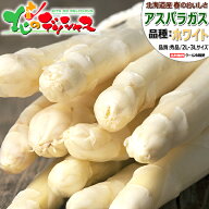 【出荷間近】北海道産 ホワイトアスパラ (2L-3Lサイズ/冷蔵便)春の味覚 北海道アスパラ あすぱら アスパ…