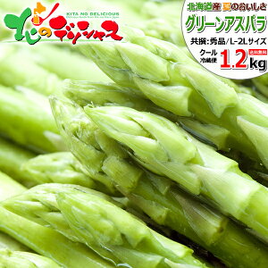 y\zkCY ăAXp O[AXp (nEX͔|/L-2LTCY) AXp ΃AXp O[AXpKX 600g 1.2kg   c Mtg 蕨 v[g p