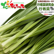 【終了間近/お届け日指定不可】北海道産 網走 行者菜 (冷蔵便)網走市 特産品 行者にんにく×にら 行者ニ…