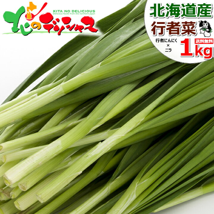 楽天市場 予約 お届け日指定不可 北海道産 網走 行者菜 1kg 100g 10束入り 野菜 網走市産 特産品 行者ニンニク ニラ オホーツク行者菜研究会 滋養強壮 スタミナ抜群 硫化アリル 季節限定 人気 北海道 送料無料 お取り寄せグルメ 北のデリシャス