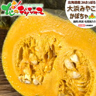 【出荷中】北海道産 かぼちゃ 大浜みやこ (共選/JAさっぽろ)野菜 秋野菜 札幌 手稲 山口 大浜みやこかぼ…