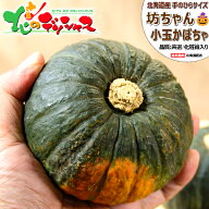 【出荷中】北海道産 坊ちゃんかぼちゃ (JA共選/1玉 約300g) 野菜 秋野菜 カボチャ 南瓜 坊ちゃん 坊ちゃ…