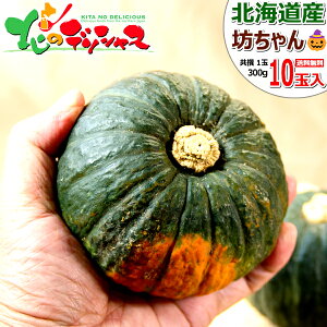 yoגzkCY V񂩂ڂ (JAI/1 300g)  H J{` Z V VZ pvL nEB HALLOWEEN Mtg 蕨 v[g p ƒp lC