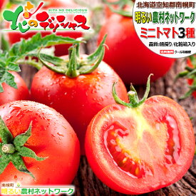 【出荷中】北海道 南幌町産 ミニトマト 3種 詰め合わせ南幌町明るい農村ネットワーク トマト プチトマト ほれまる アイコ ラブリーさくら 1kg 2kg 3kg 朝採り 新鮮 鮮度抜群 お中元 ギフト 贈り物 プレゼント ご自宅用 ご家庭用 北海道 野菜 産地直送 お取り寄せ