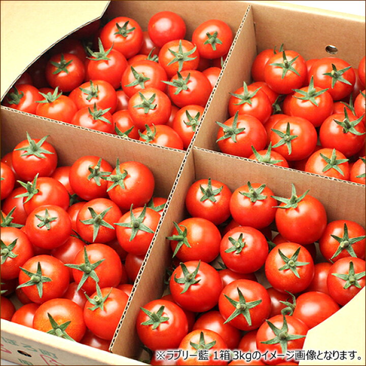 楽天市場】【出荷間近】北海道産 南幌町 ミニトマト 2kg 南幌町明るい農村ネットワーク 野菜 トマト プチトマト アイコ ラブリー藍 朝採り 生食 甘い 残暑見舞い ギフト 贈り物 プレゼント おうち 自宅用 コロナ 支援 人気 北海道 グルメ 産地直送 送料無料 お取り寄せ ... 楽天市場】【出荷間近】北海道産 南幌町 ミニトマト 2kg 南幌町明るい農村ネットワーク 野菜 トマト プチトマト アイコ ラブリー藍 朝採り 生食 甘い 残暑見舞い ギフト 贈り物 プレゼント おうち 自宅用 コロナ 支援 人気 北海道 グルメ 産地直送 送料無料 お取り寄せ ...