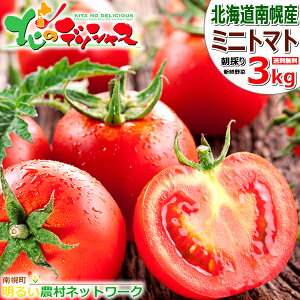 y\zkC yY ~jg}g 3 lߍ킹y邢_lbg[N g}g v`g}g ق܂ ACR u[ 1kg 2kg 3kg ̂ VN NxQ  Mtg 蕨