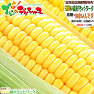 【連日出荷中】北海道産 南幌町 とうもろこし あまいんです (黄色/クール冷蔵便) 南幌町明るい農村ネット…