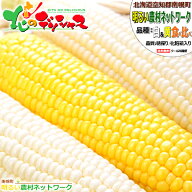 【予約】北海道産 南幌町 とうもろこし 食べ比べ (白色＆黄色/冷蔵便) 南幌町明るい農村ネットワーク 朝…