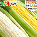 【出荷中】北海道産 とうもろこし 選べる品種 (味来orゴールドラッシュorホワイトショコラ)朝採り 甘い 生食 トウモロコシ スイートコーン とうきび 残暑見舞い ギフト 贈り物 お祝い お礼 お返し プレゼント 自宅用 家庭用 北海道 グルメ 送料無料 お取り寄せ