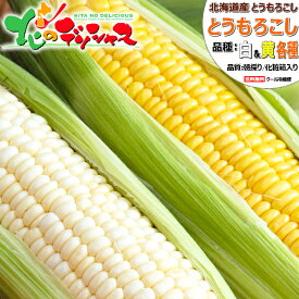 【予約】北海道産 とうもろこし 選べる品種 (味来orゴールドラッシュorホワイトショコラ)朝採り 甘い 生食 トウモロコシ スイートコーン とうきび 残暑見舞い ギフト 贈り物 お祝い お礼 お返し プレゼント 自宅用 家庭用 北海道 グルメ 送料無料 お取り寄せ