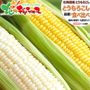 【出荷中】北海道産 とうもろこし 選べる 食べ比べセット 朝採り 甘い 食用 生食 トウモロコシ スイートコーン とうきび 残暑見舞い ギフト 贈り物 お祝い お礼 お返し プレゼント 自宅用 家庭用 野菜 北海道 グルメ 送料無料 お取り寄せ