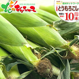 【連日出荷中】生産者さん応援！北海道産 南幌町 ご家庭用 とうもろこし 10本入り (訳あり/混合/クール冷蔵便) 旬食 南幌町明るい農村ネットワーク 朝採り 激甘 トウモロコシ とうきび ご自宅用 ご家庭用 北海道 野菜 グルメ 産地直送 送料無料 お取り寄せ