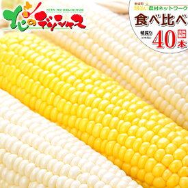 【予約】 北海道産 南幌町 とうもろこし 食べ比べ (白色＆黄色/冷蔵便) 南幌町明るい農村ネットワーク 朝採り トウモロコシ スイートコーン とうきび 残暑見舞い 敬老の日 秋 ギフト 贈り物 お祝い プレゼント 北海道 グルメ 産地直送 送料無料 お取り寄せ