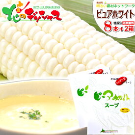 【予約】北海道産 南幌町 とうもろこしスープセット (ピュアホワイトSP 8本＋スープ 2箱/冷蔵便)南幌町明るい農村ネットワーク 朝採り トウモロコシ スイートコーン 残暑見舞い ギフト 贈り物 プレゼント 北海道 野菜 グルメ 産地直送 送料無料 お取り寄せ