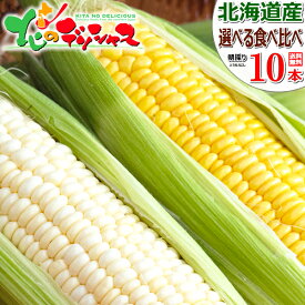 【出荷中】北海道産 とうもろこし 選べる 食べ比べセット 朝採り 甘い 食用 生食 トウモロコシ スイートコーン とうきび 残暑見舞い ギフト 贈り物 お祝い お礼 お返し プレゼント 自宅用 家庭用 野菜 北海道 グルメ 送料無料 お取り寄せ