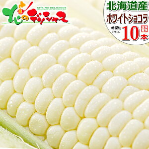 y\zkCY Ƃ낱 Iׂi (orS[hbVorzCgVR)̂ Â H gERV XC[gR[ Ƃ c Mtg 蕨 j  