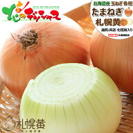 【出荷間近】北海道産 新玉 玉ねぎ 札幌黄 (JA共撰/SM-Lサイズ/常温便) 秋野菜 野菜 万能野菜 たまねぎ …