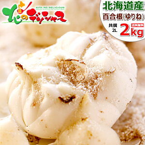 y\zkCY S 2kg (JA/2L-3LTCY/퉷) ~   荪 l  ֐ {  `  Mtg 蕨 j j ƒp kC Hi 