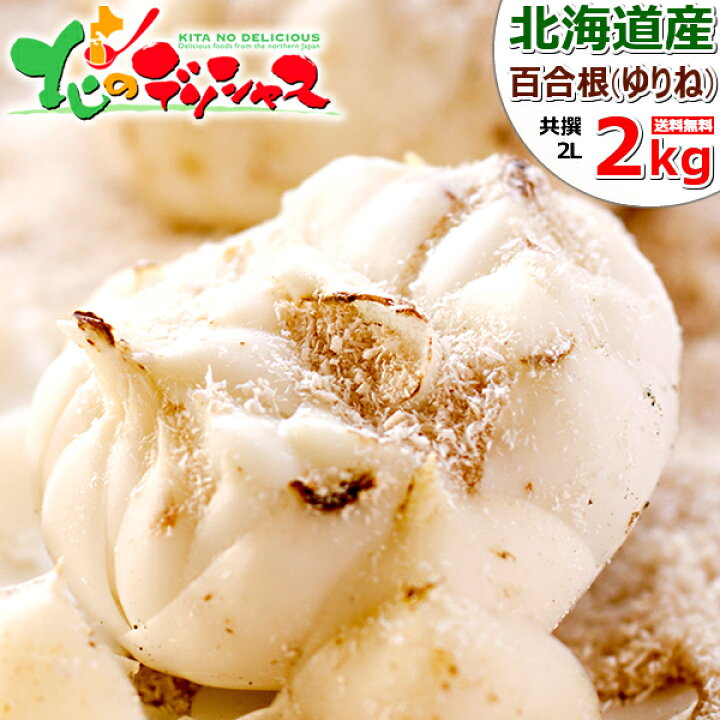 楽天市場】【予約】北海道産 百合根 2kg (JA共撰/2L-3Lサイズ/常温便 