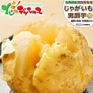 【出荷中】北海道産 新じゃが じゃがいも 男爵芋 (JA共撰/M-LMサイズ/常温便) 秋野菜 野菜 男爵 男爵薯 …