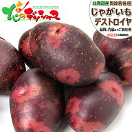 【出荷中】 北海道産 新じゃが じゃがいも デストロイヤー (JA共撰/秀品orご家庭用/冷蔵便) 限定 秋野菜 …