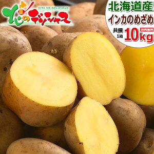 yo׊ԋ߁zkCY VႪ Ⴊ CĴ߂ (JA/M-LMTCY/①) H  CJ CJ̖ڊo WKC n鏒 z~ 3kg 5kg 10kg Mtg 蕨 j j 