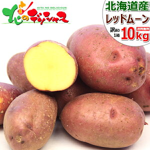 yoגzkCY ƒp VႪ Ⴊ bh[ (JA/󂠂/퉷) H  g[NB WKC n鏒 z~ 5kg 10kg 킯 p ƒp p lC 