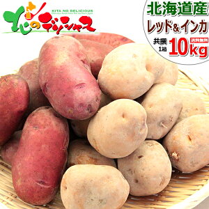 y\zkCY VႪ Ⴊ bh[CĴ߂ lߍ킹 (JA/M-LMTCY/①) H  CJ̖ڊo WKC n鏒 z~ 4kg 10kg Mtg 蕨 j