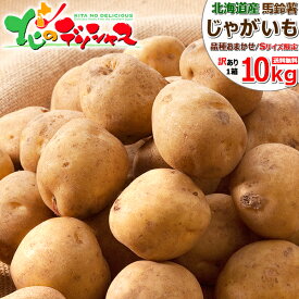 【終了間近】北海道産 ご家庭用 じゃがいも 10kg (JA共撰/訳あり/常温便) 秋野菜 野菜 男爵芋 キタアカリ メークイン ジャガイモ 馬鈴薯 越冬 わけあり 自宅用 家庭用 おうち用 人気 売れ筋 北海道 食品 グルメ 北海道直送 送料無料 お取り寄せ
