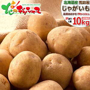 yoגzkCY ƒp VႪ Ⴊ 10kg (JA/󂠂/퉷) H  j݈ L^AJ [NC WKC n鏒 킯 p ƒp p lC  