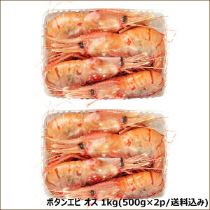 kC Gr {^Gr (BL/IX/Ⓚ)   CV ڂ񂦂 O  hg hgp Mtg 蕨 j  Ԃ v[g Ε ~Mtg Nz  p 