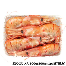 北海道 エビ ボタンエビ (BFL/メス子持ちorオス・メス食べ比べ/生冷凍) 特大 えび 海老 ぼたんえび 牡丹えび 生冷 お刺身 刺身用 ギフト 贈り物 お祝い お礼 お返し 内祝い プレゼント 自宅用 おうち用 グルメ 北海道 送料無料 お取り寄せ