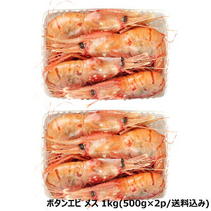 kC Gr {^Gr (BFL/XqorIXEXHה/Ⓚ)   CV ڂ񂦂 O  hg hgp Mtg 蕨 j  Ԃ j v[g p 