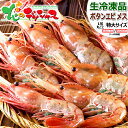 北海道 エビ ボタンエビ (BFL/メス子持ちorオス・メス食べ比べ/生冷凍) 特大 えび 海老 ぼたんえび 牡丹えび 生冷 お刺身 刺身用 ギフト 贈り物 お祝い お礼 お返し 内祝い プレゼント 自宅用 おうち用 グルメ 北海道 送料無料 お取り寄せ