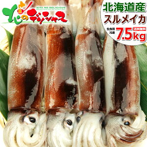kCY XCJ (Hp/Di) Y {CY ^ ^CJ ߂  Ⓚ }Ⓚ IQF hg h Mtg 蕨 j  Ԃ j v[g ~Mtg Nz 