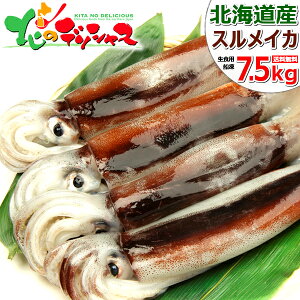 生 するめ イカ タコの人気商品 通販 価格比較 価格 Com