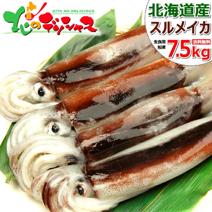 楽天市場 イカ 日本海産 スルメイカ 7 5kg 生食用 23 25杯入り 船凍品 国産 真イカ 真いか するめいか 生 生冷 刺身 塩辛 q ギフト 贈り物 プレゼント 自宅用 家庭用 おうちでグルメ 業務用 人気 売れ筋 グルメ 北海道 送料無料 お取り寄せ 北のデリシャス