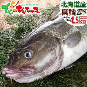 yoגzkCY VR ^L (}_) 1{ 4.5kg (IX/q/①)  ~̖o  ^ L ܂ ^ ^^ ^L L 炱 q ^` }_` ^  Mtg 蕨 v[