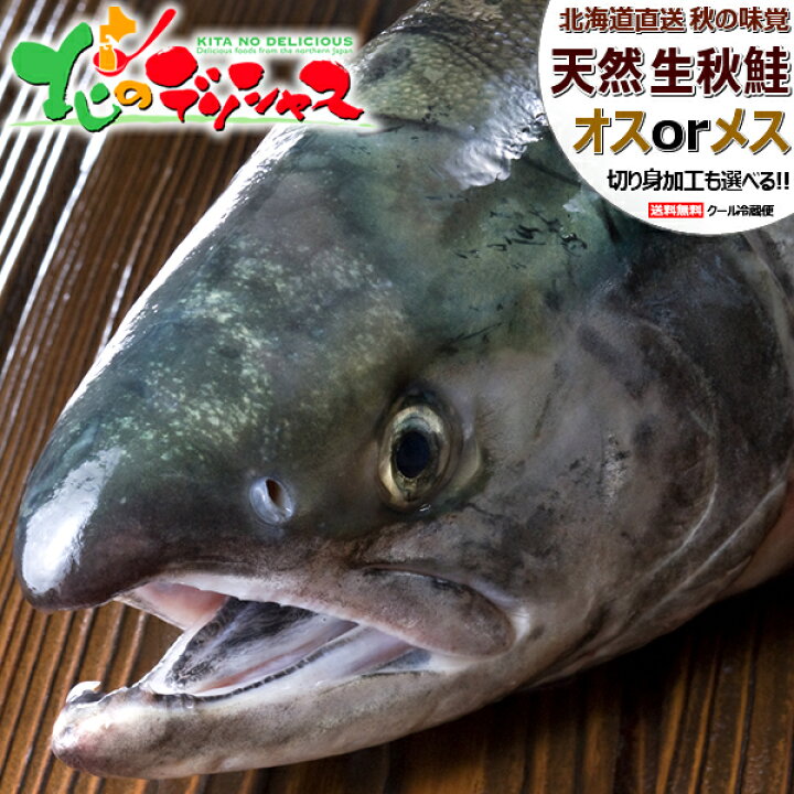 楽天市場】【予約】北海道産 天然 生秋鮭 (オスorメス/冷蔵便) 秋の 